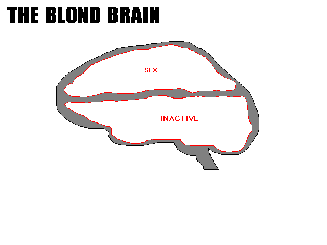 Na, also GANZ so schlimm ist es dann vielleicht doch nicht. (0der?)